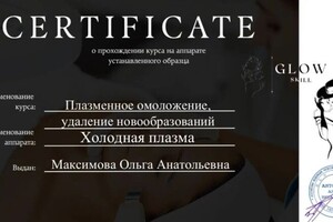 Максимова Ольга Анатольевна — Диплом / сертификат №3