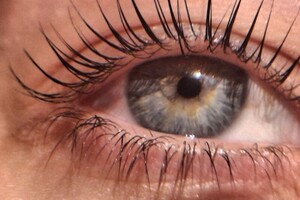 Мелетян Ксения Сергеевна — Портфолио №1