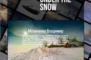 Диплом / сертификат №4 — Музыченко Владимир Анатольевич