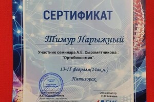 Диплом / сертификат №1 — Нарыжный Тимур Игоревич