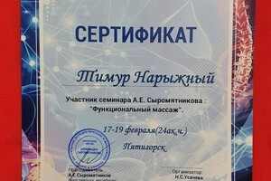 Диплом / сертификат №3 — Нарыжный Тимур Игоревич