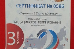 Диплом / сертификат №4 — Нарыжный Тимур Игоревич