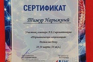 Диплом / сертификат №6 — Нарыжный Тимур Игоревич