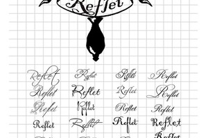 Натали Дудка Владимировна — Фирменный стиль — Портфолио №13