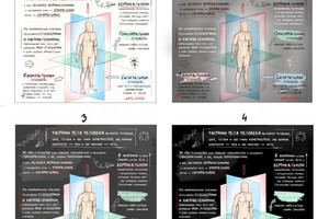 Натали Дудка Владимировна — Иллюстрации — Портфолио №7
