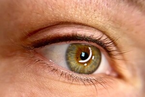 Найман Эмма Игоревна — Межресничный перманент с нежной растушёвкой. — Портфолио №5