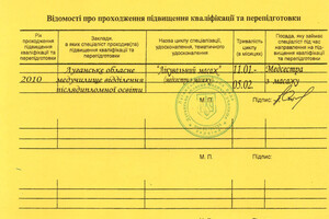 Диплом / сертификат №4 — Охремчук Елена Ивановна