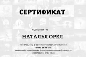 Диплом / сертификат №3 — Орёл Наталья Александровна