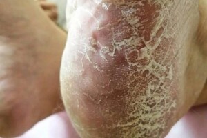 Парасотченко Ольга Павловна — Портфолио №20