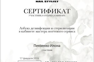 Диплом / сертификат №104 — Пензенко Илона Юрьевна