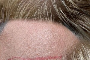 Попова Наталья Александровна — Портфолио №110