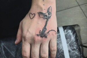 Попова Ника Артемовна — Портфолио №1