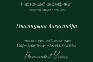 Диплом / сертификат №15 — Пшеницына Александра Вадимовна