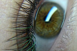 Разгуляева Екатерина Александровна — Портфолио №10