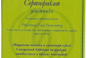 Диплом / сертификат №2 — Рыбалкин Олег Витальевич