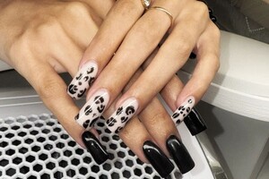 Сафронова Валерия Андреевна — Портфолио №5