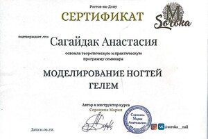 Сагайдак Анастасия Константиновна — Диплом / сертификат №1