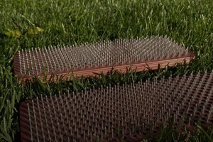 Сенина Марина Константиновна — Портфолио №12