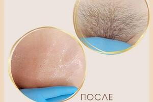 Шаповалова Виктория Игоревна — Портфолио №5