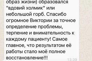 Шекемова Виктория Николаевна — Портфолио №3