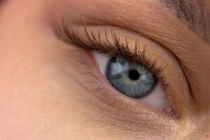 Шевченко Елизавета Федоровна — Портфолио №1