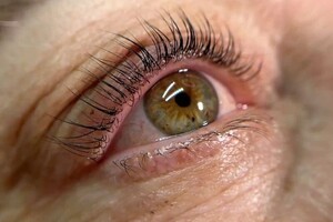 Шихалиева Айшат Тимур-Уланоана — Портфолио №4