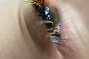 Шимченко Софья Сергеевна — Портфолио №3