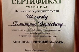 Диплом / сертификат №2 — Шляхов Дмитрий Сергеевич
