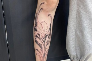 Шпыркова Алиса Спартаковна — Портфолио №5