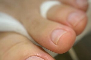 Сивкова Наталья Николаевна — Портфолио №239