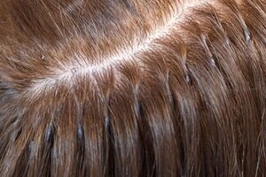 Скоробогатова Людмила Андреевна — Портфолио №5