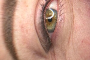 Солодовникова Алина Сергеевна — Портфолио №3