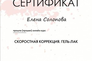 Диплом / сертификат №1 — Солопова Елена Игоревна