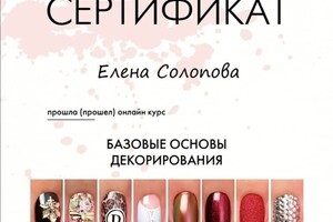 Диплом / сертификат №3 — Солопова Елена Игоревна