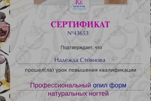 Диплом / сертификат №1 — Стоянова Надежда Валерьевна