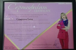 Диплом / сертификат №1 — Сударкина Елена Юрьевна