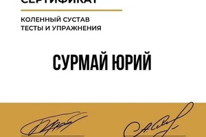 Диплом / сертификат №14 — Сурмай Юрий Романович