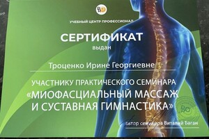 Троценко Ирина Георгиевна — Диплом / сертификат №2