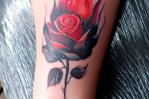 Вахновский Дмитрий Николаевич — Портфолио №99