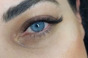 Васюра Дарья Николаевна — Лиса 3D — Портфолио №5