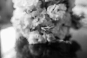 Величко Виталий Юрьевич — Портфолио №30