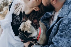 Якубовский Амир Бахтиерович — Портфолио №5