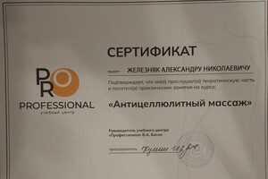 Железняк Александр Николаевич — Диплом / сертификат №1