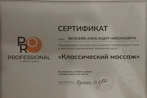 Железняк Александр Николаевич — Диплом / сертификат №2