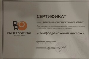 Железняк Александр Николаевич — Диплом / сертификат №3