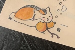 Зверев Максим Константинович — Портфолио №3