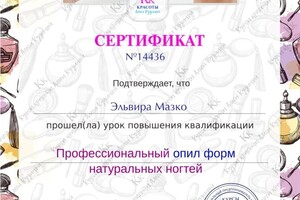 Диплом / сертификат №1 — Мазко Эльвира Михайловна