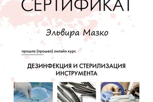 Диплом / сертификат №4 — Мазко Эльвира Михайловна