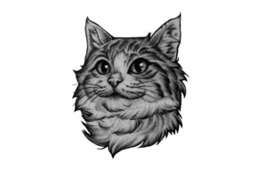 Портфолио №1 — Мышьянова Ксения Витальевна