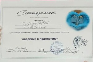 Диплом / сертификат №1 — Туроверова Полина Викторовна